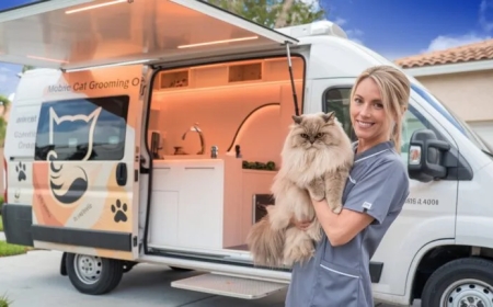 Why Choose Mobile Pet Grooming in Orlando