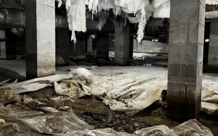 When to Call Experts for Crawl Space Upgrades