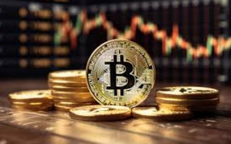 Seed Phrases Explained: Why Your Wallet’s Backup Words Are So Important