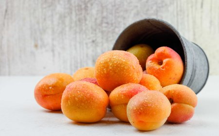 Top 5 Dried Blenheim Apricots for Snacking
