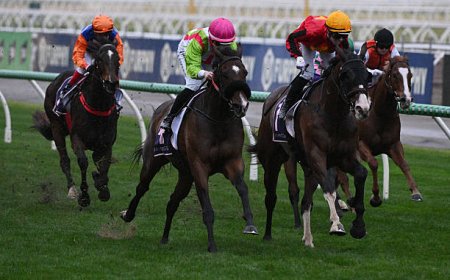 Why Top PlayUp Is Gaining Popularity Among Aussie Punters