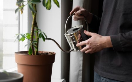 Self Watering Planter