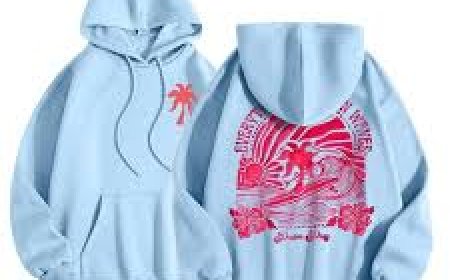 Pink Palm Puff Hoodie & Collection Redefining Streetwear Through Color, Comfort, and Calm Power