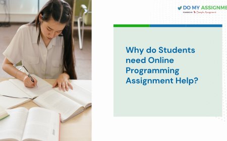 Why do Students need Online Programming Assignment Help?
