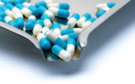 The Science Behind Peppermint Capsules for Digestive Health