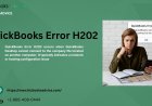 QuickBooks Error H202: Causes, Impacts & Solutions by BizBooksAdvice
