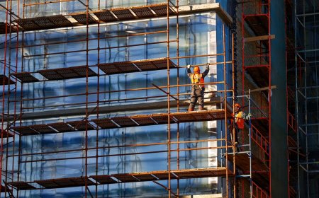 Staying Within Budget with Expert Cost Help