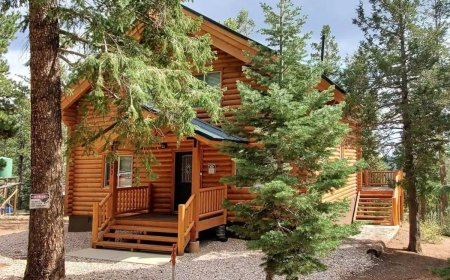 Top Reasons to Stay in Duck Creek Cabins for Your Next Getaway
