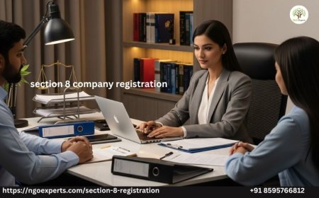 Step-by-Step Guide for Section 8 Company Registration in India