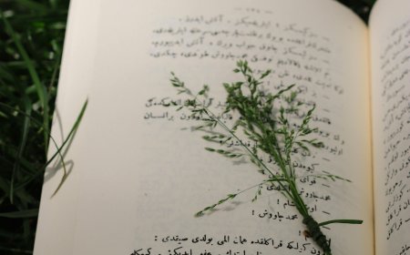Learn Arabic Language: Your Complete Guide to Mastering Arabic Confidently