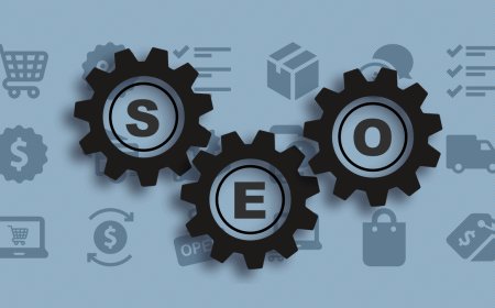 Local SEO Services Package to Dominate Nearby Searches