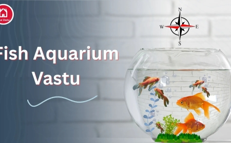 Fish Aquarium Vastu Tips by True Vastu – Vastu Consultant