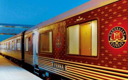 A Complete Guide to Luxury Train Travel with the Maharajas' Express Train