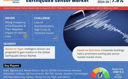 Earthquake Sensor Market Growth: Top Brands, Trends & Forecast