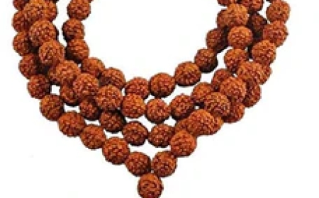 Shravan Special – Why Wearing Rudraksha Deepens Your Spiritual Journey