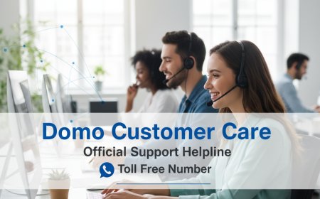 Domo Customer Care & Toll Free Number – Official Support Helpline